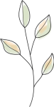 flower-4