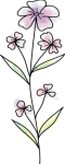 flower-5